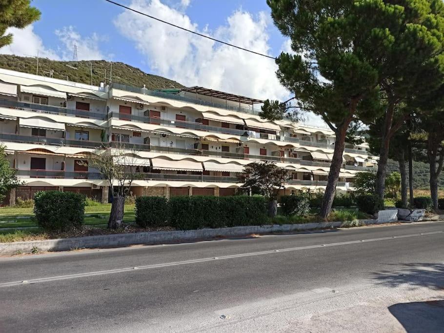 Lovely Beachfront Studio Malaki Εξωτερικό φωτογραφία