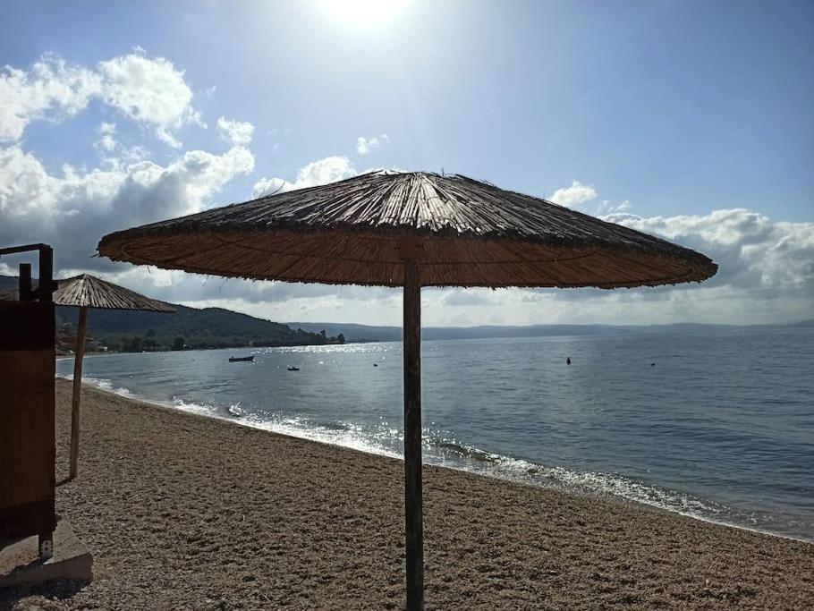 Lovely Beachfront Studio Malaki Εξωτερικό φωτογραφία